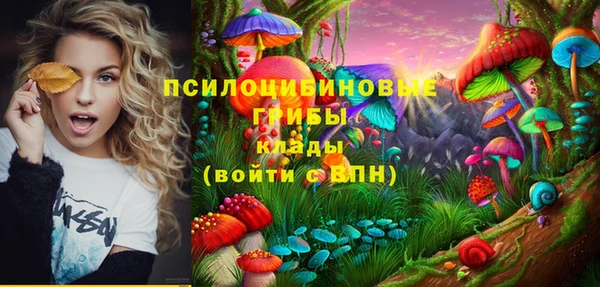 хмурый Богородск