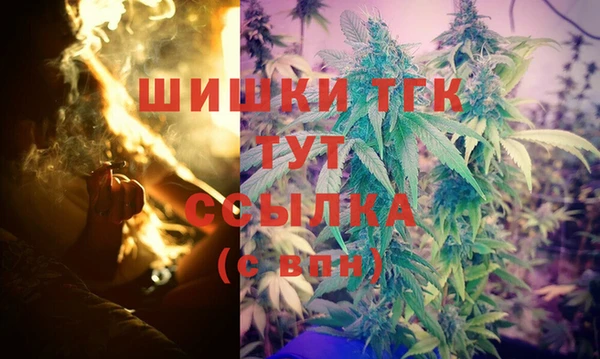спайс Богородицк