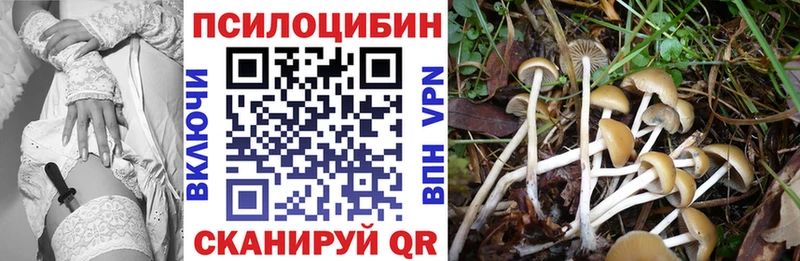 Псилоцибиновые грибы Psilocybine cubensis  наркотики  мориарти наркотические препараты  Монино 